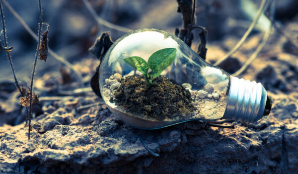 بیوتکنولوژی محیط‌زیست