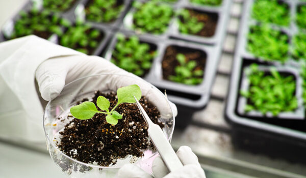 منابع کنکور دکتری بیوتکنولوژی کشاورزی