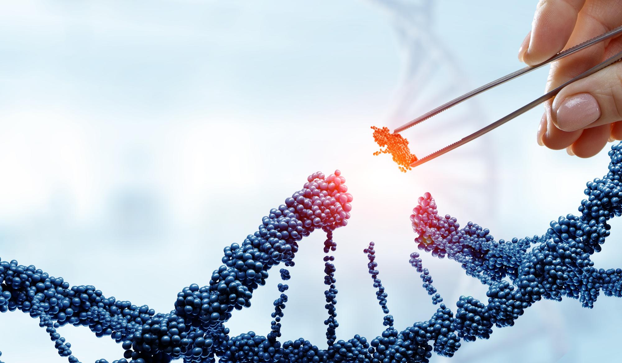 سامانه evoCAST