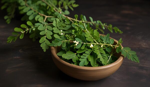 نانوذرات نقره سنتزشده با عصاره مورینگا زیر میکروسکوپ الکترونی عبوری